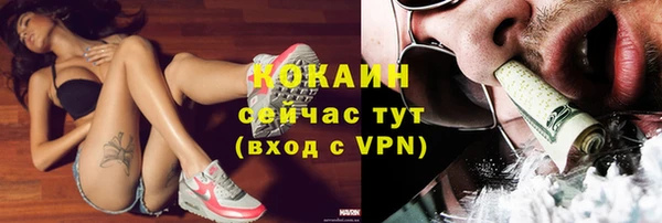 амф Дмитриев