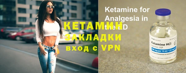 амф Дмитриев
