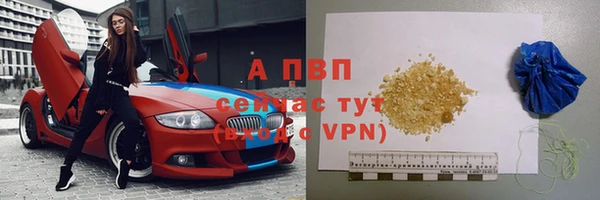 амф Дмитриев
