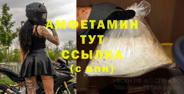 амф Дмитриев