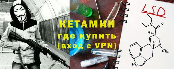 амф Дмитриев