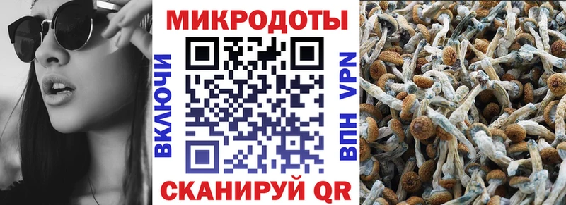 Псилоцибиновые грибы Magic Shrooms Красавино